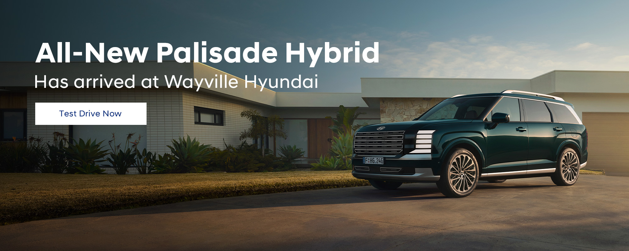Palisade Hp